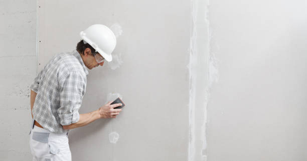 Best Drywall Removal and Disposal  in South San Jose Hills, CA