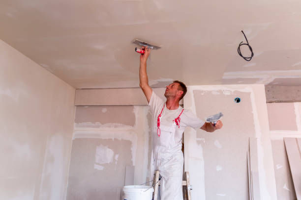 Best Custom Drywall Designs  in South San Jose Hills, CA